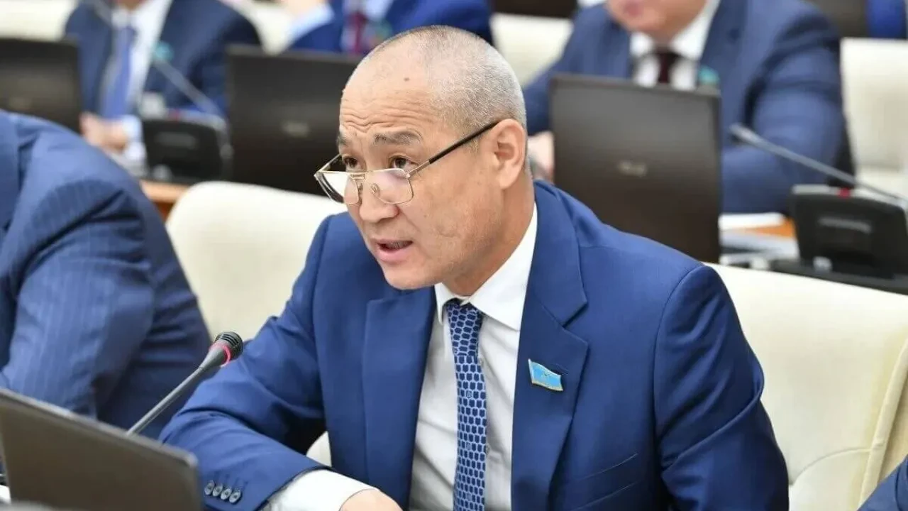 Депутат: Стратегиялық маңызы бар энергетикалық жобалар іс жүзінде жүзеге аспаған