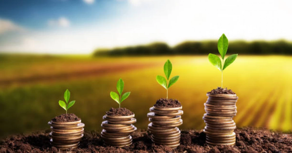 Шаруаларды ерте қаржыландыру ісі қалай жүзеге асырылып жатыр?