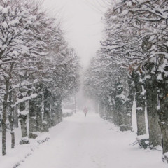 Синоптиктер болжамы: Қазақстанда күн күрт суытады