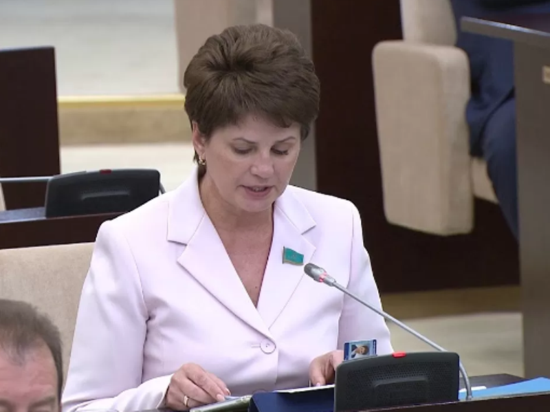 Конституциялық комиссияда жаңа Ата Заңды бүкілхалықтық референдумға шығару ұсынылды