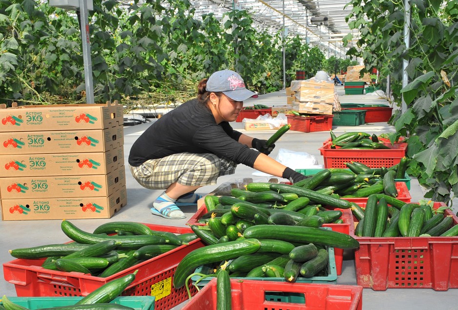 Баға тұрақтылығы – басты назарда