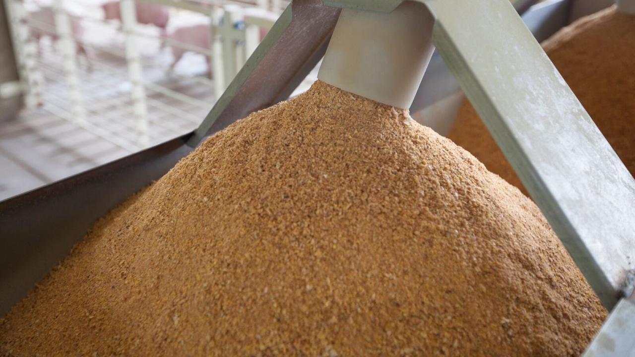 Қазақстаннан Қытайға 12,3 мың тонна жемдік ұн жөнелтілді