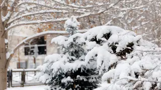 Жаңбыр мен қар, боран: Ертең елімізде ауа райы қандай болады?