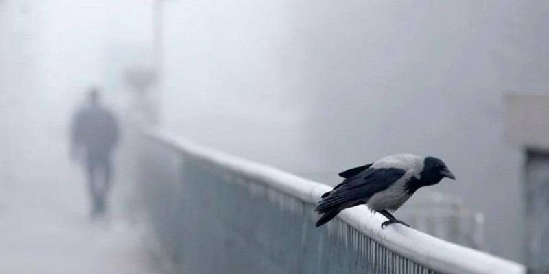 Бүгін еліміздің басым бөлігінде дауылды ескерту жарияланды