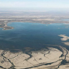 Арал табанын қалай оазиске айналдырамыз?