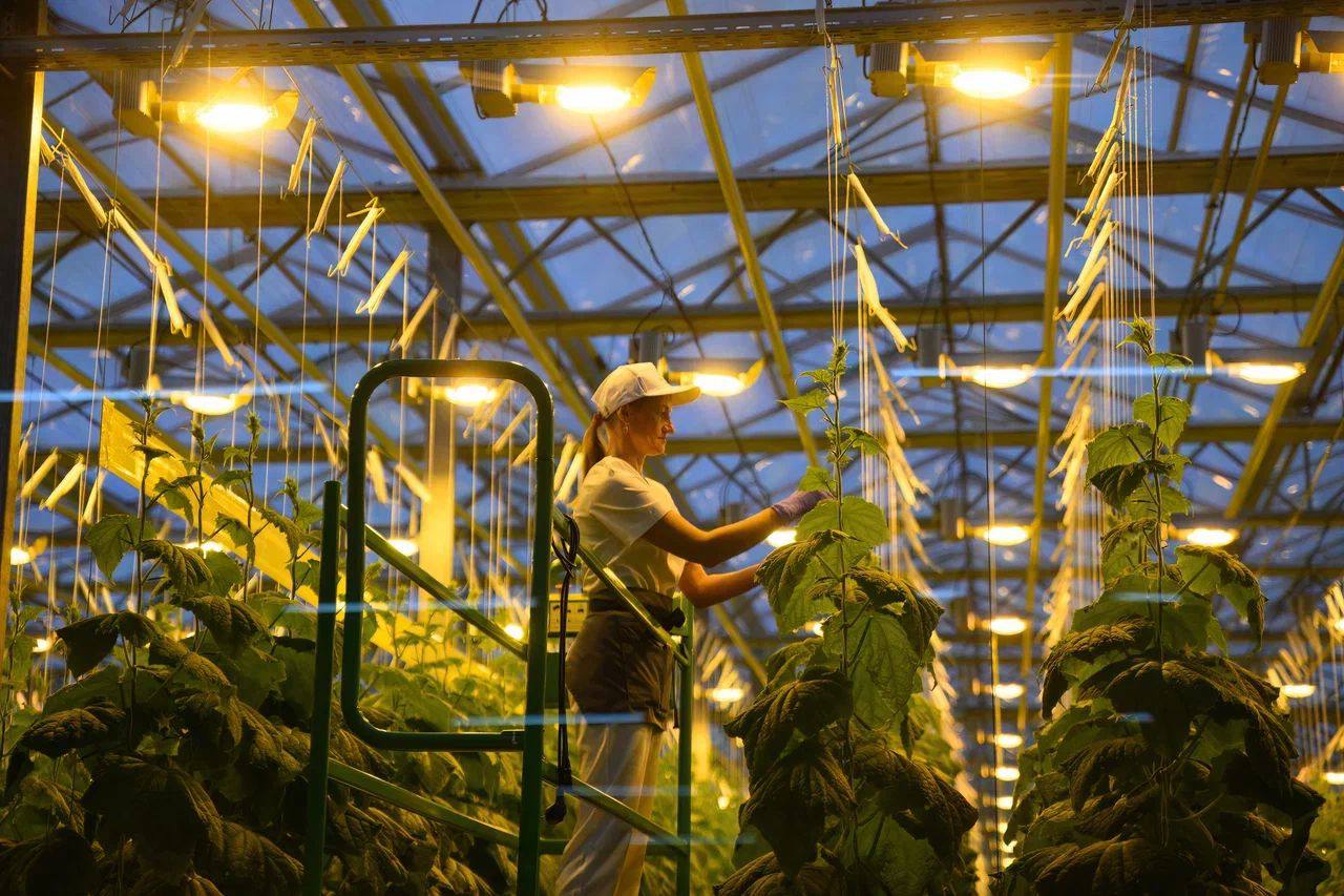 «Зеленый Север» ұжымымен кездесуде Конституция жобасының негізгі ережелері талқыланды