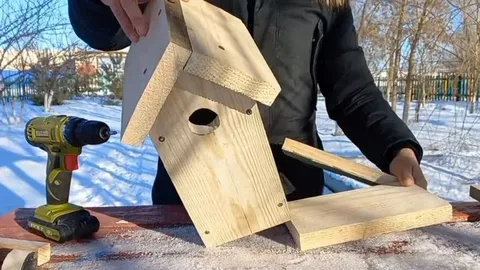 Жамбылдық полицейлер құстарға ұя салып берді