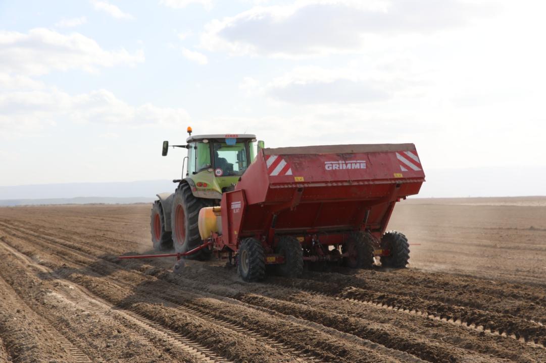 Жамбыл облысында 623,3 мың гектарға ауыл шаруашылығы дақылдары орналастырылады