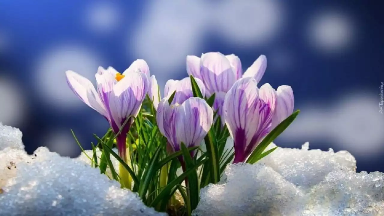 Наурыз айында ауа райы қандай болады?