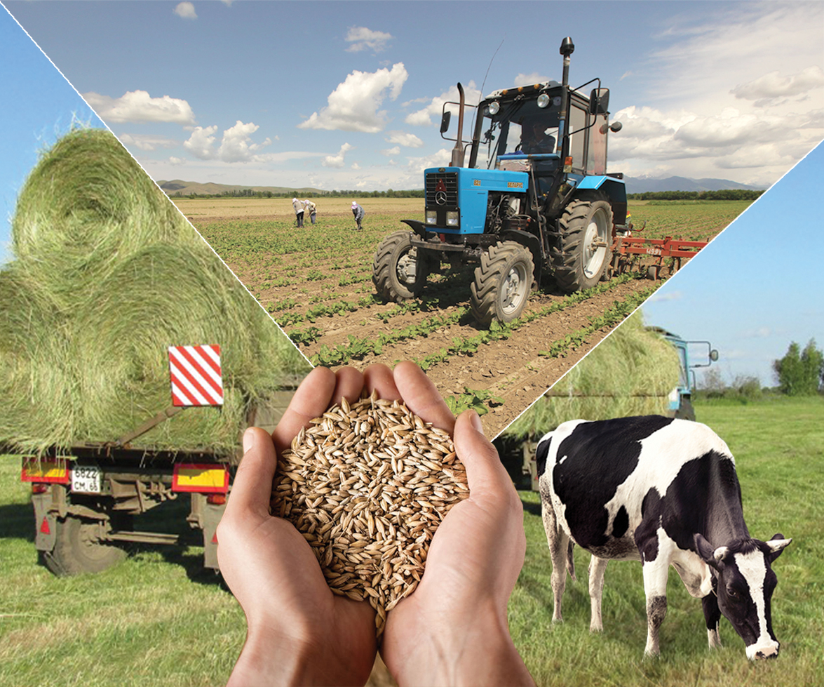 Жерді дұрыс игеру – стратегиялық ұстаным