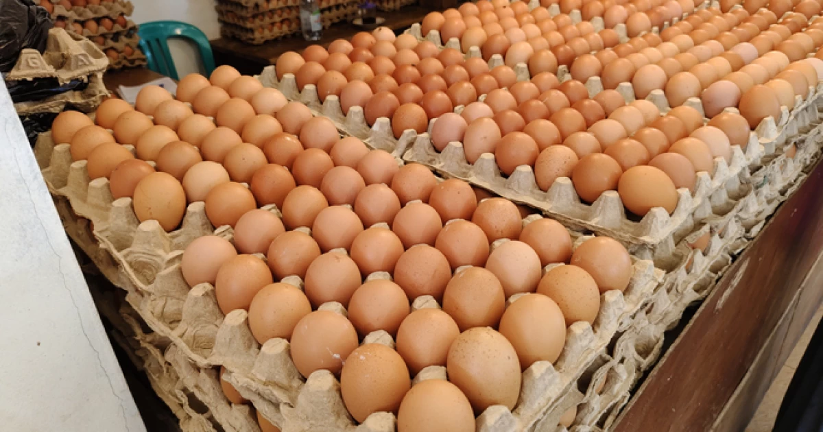 ЕАЭО елдерінен жұмыртқаны импорттауға тыйым салынады