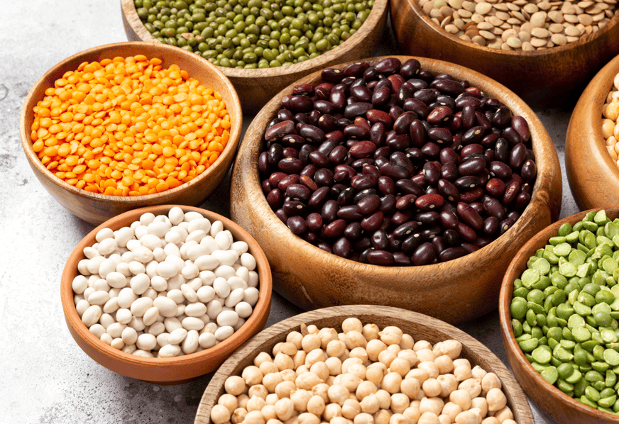 Фермерлер 2025 жылы бұршақ дақылдарының рекордтық өнімін жинады