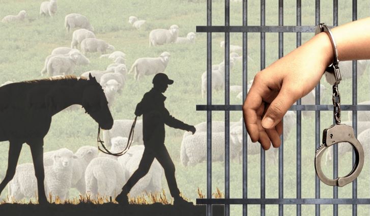 Мал ұрлығының алдын алу өзекті