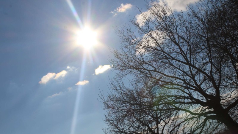 Елімізде 15 градусқа дейін күн жылынады