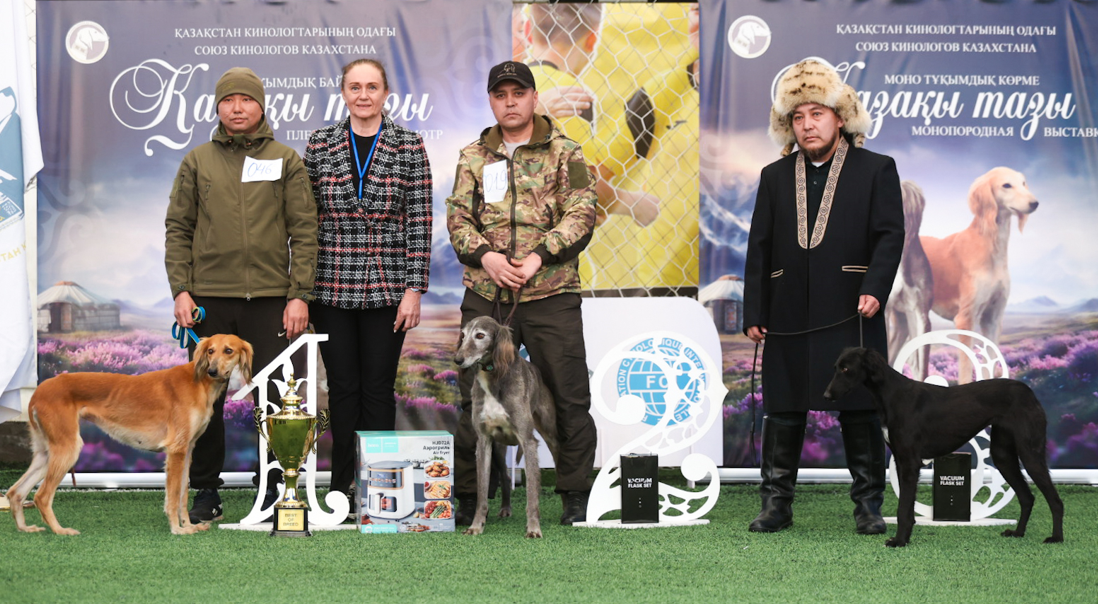 Алматыда қазақы тазыға арналған кинологиялық іс-шаралар маусымы ашылды