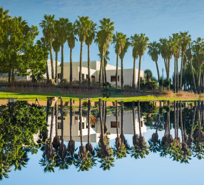 Флорида тұрғыны ChatGPT-дің көмегімен үйін 5 күнде сатқан