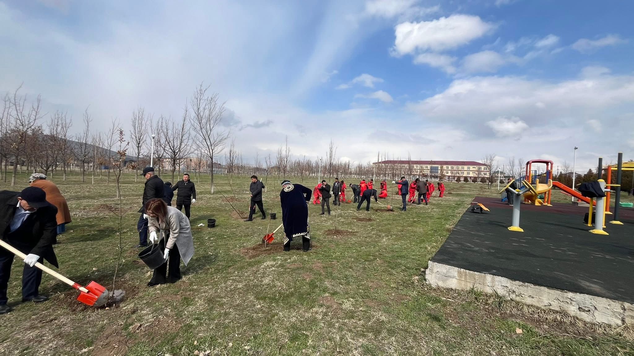 Көктем игілігі – көшет егу