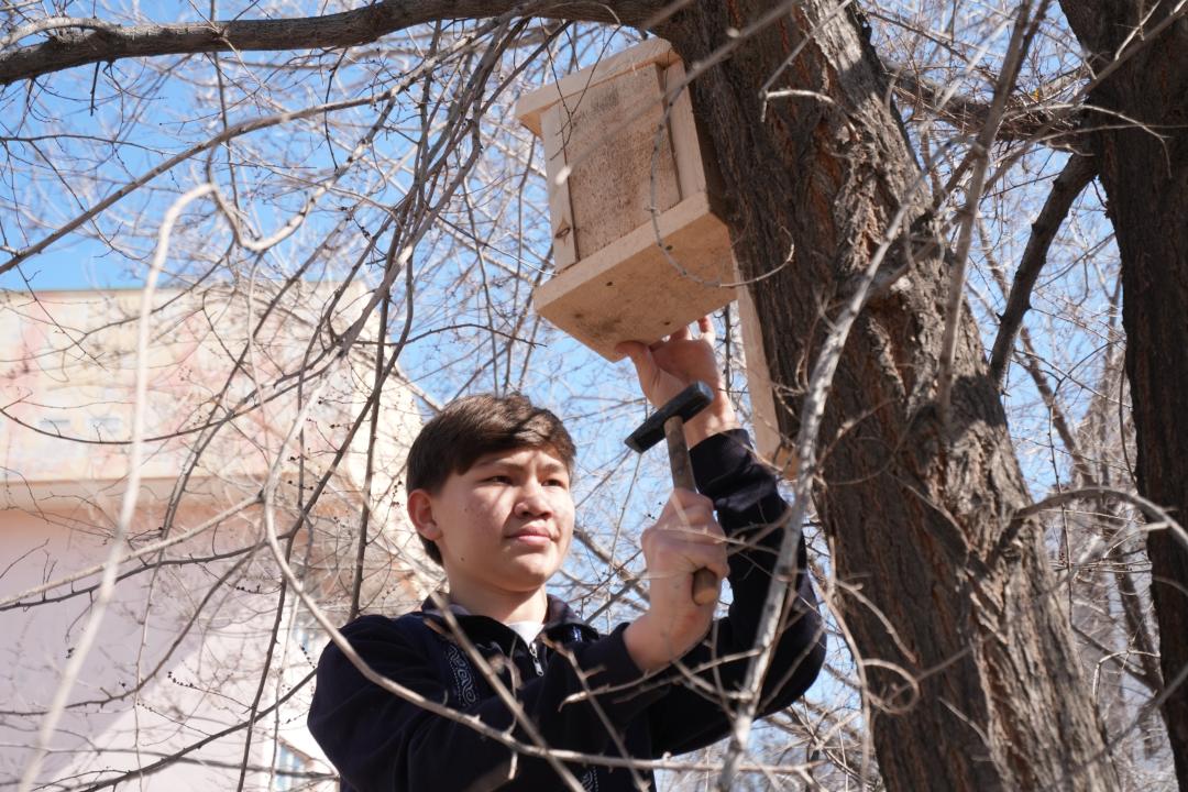 Құстарға қамқорлық