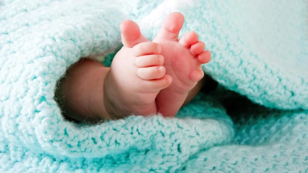 Қосшыда жол жиегінен нәрестенің мәйіті табылды