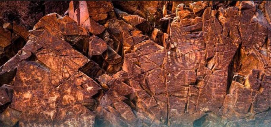 ЖИ көмегімен жаңарған мұра: Ежелгі петроглифтер көрмеге қойылады