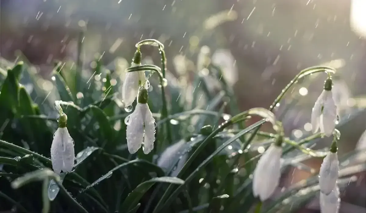 Еліміздің басым бөлігінде дауылды ескерту жарияланды