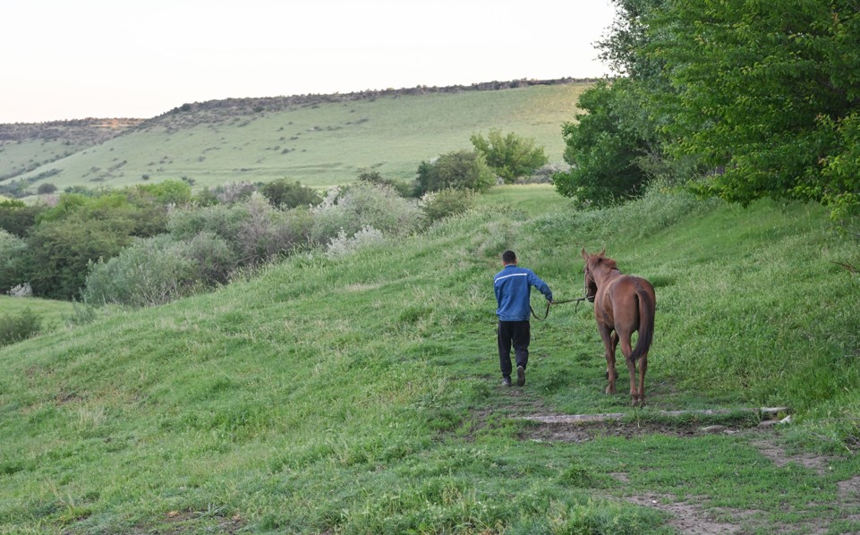 Мал ұрлығы тыйылмай тұр