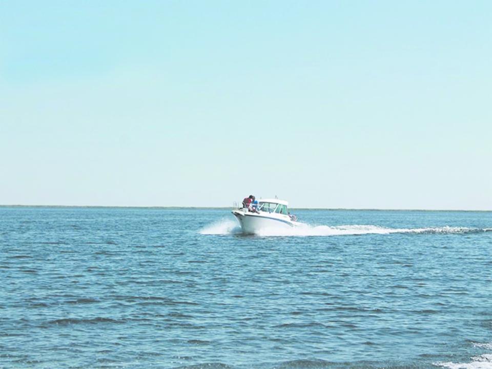 Балқаш көлі жағалауындағы жер учаскелері инвесторларға ашық аукцион арқылы ұсынылады