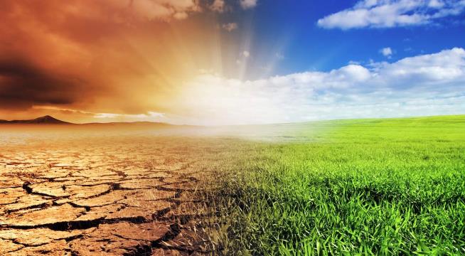 DeepBas: Құрғақшылыққа қарсы жаңа технология енгізіледі