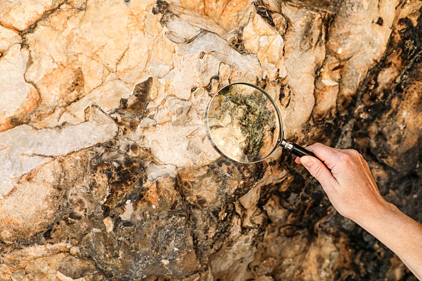 Түрік компаниялары елдегі мұнай-газ қорларын барлауға көмектеспек