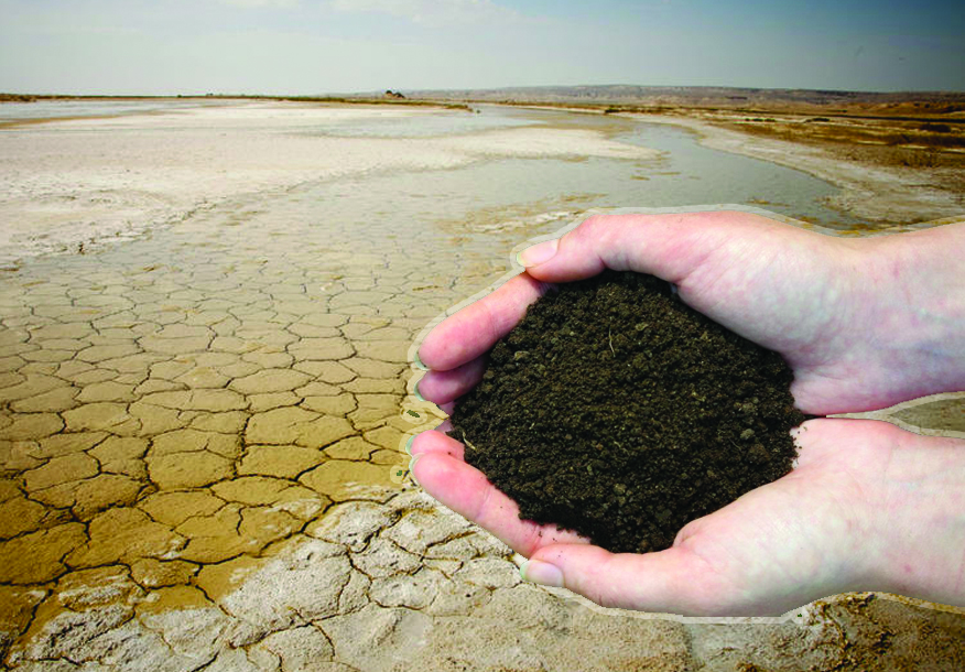 Астанада сарапшылар жердің тозуын тежейтін ғылыми тәсілдерді талқылады