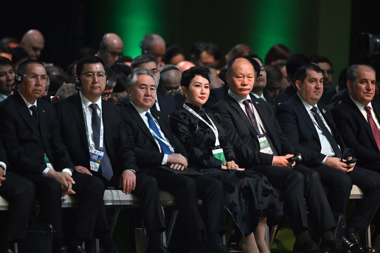 Қалауыңа қарай тапсырыспен алдыратын жеңсік ас емес: Мемлекет басшысы БҰҰ Жарғысы туралы