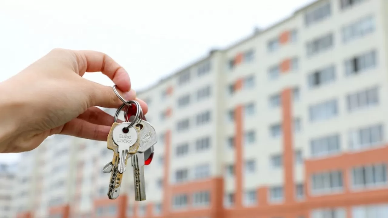 Сенатор: 43 мыңнан астам жетім бала баспана ала алмай отыр