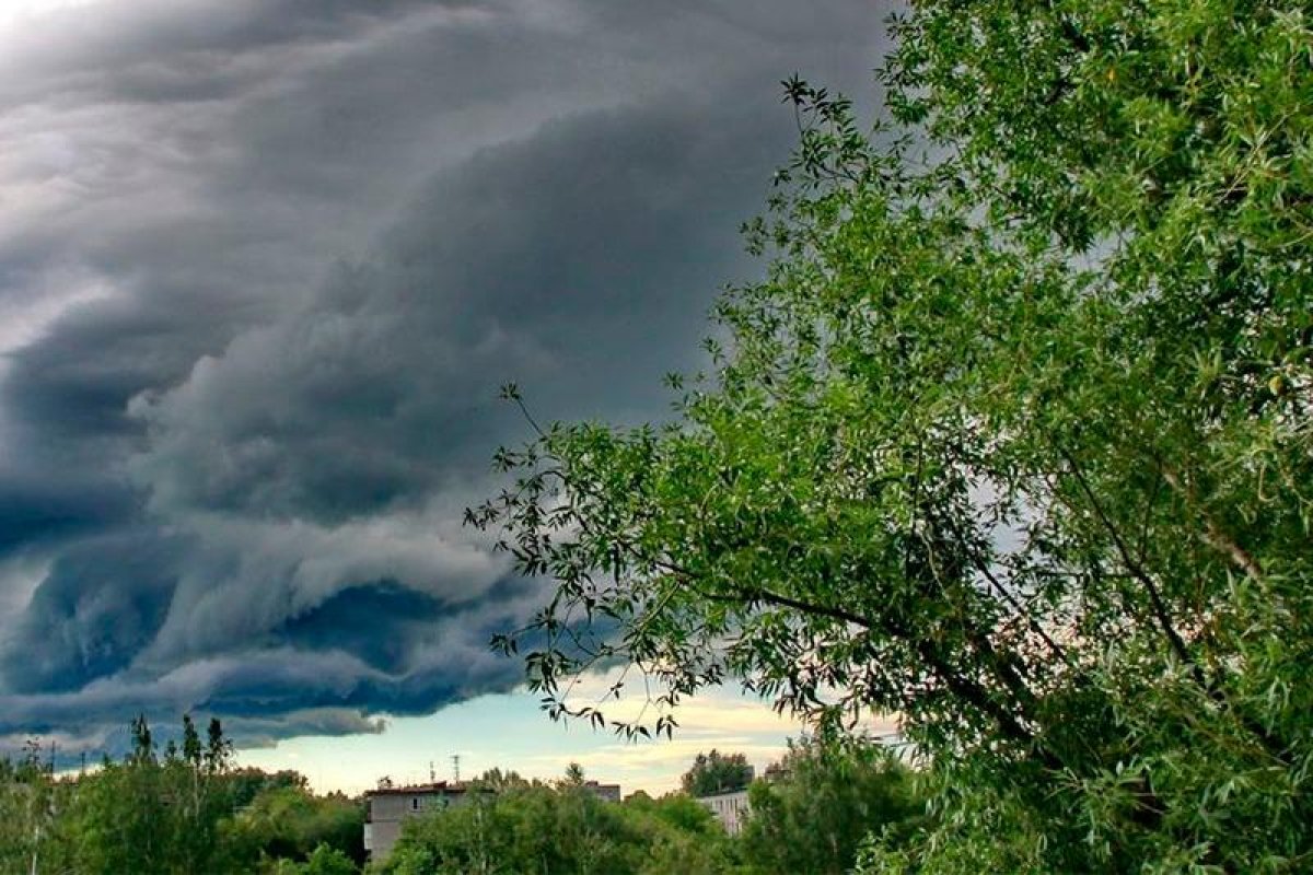 Еліміздің бірнеше облысында түнде үсік жүреді: 28 сәуірге арналған ауа райы болжамы