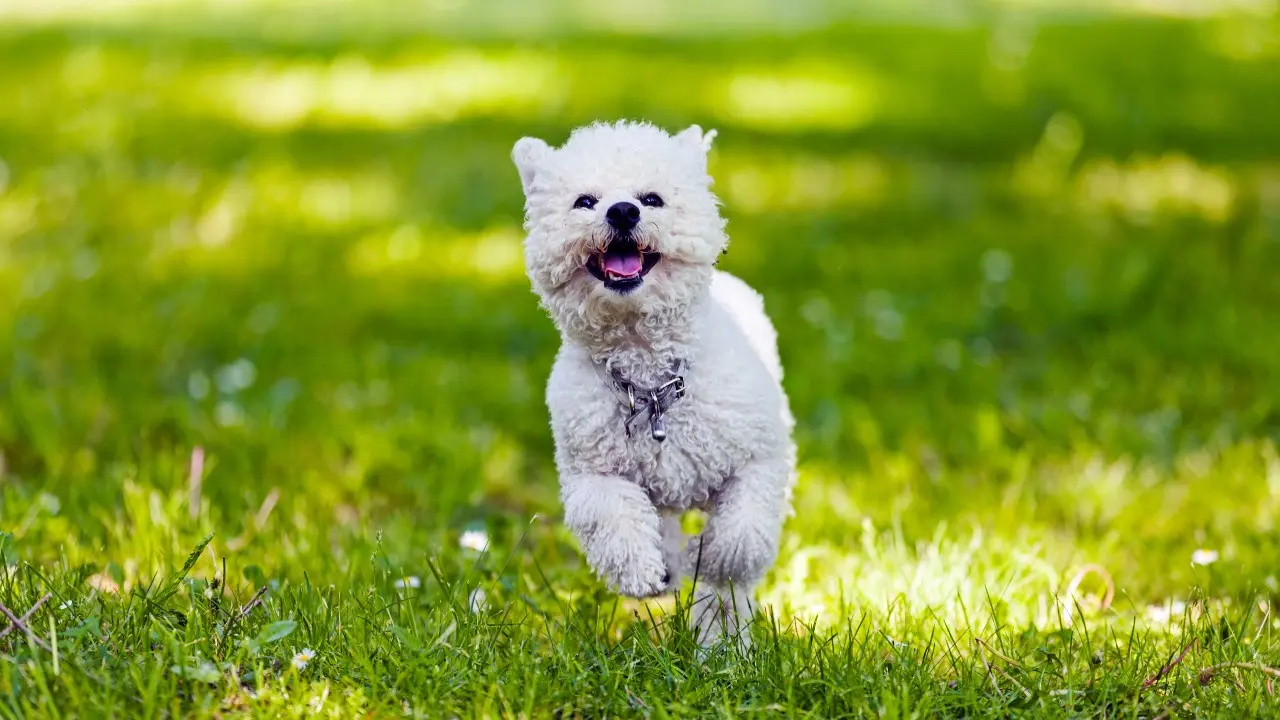 Аптап ыстық, нөсер, бұршақ: Мамыр айында ауа райы құбылмалы болады