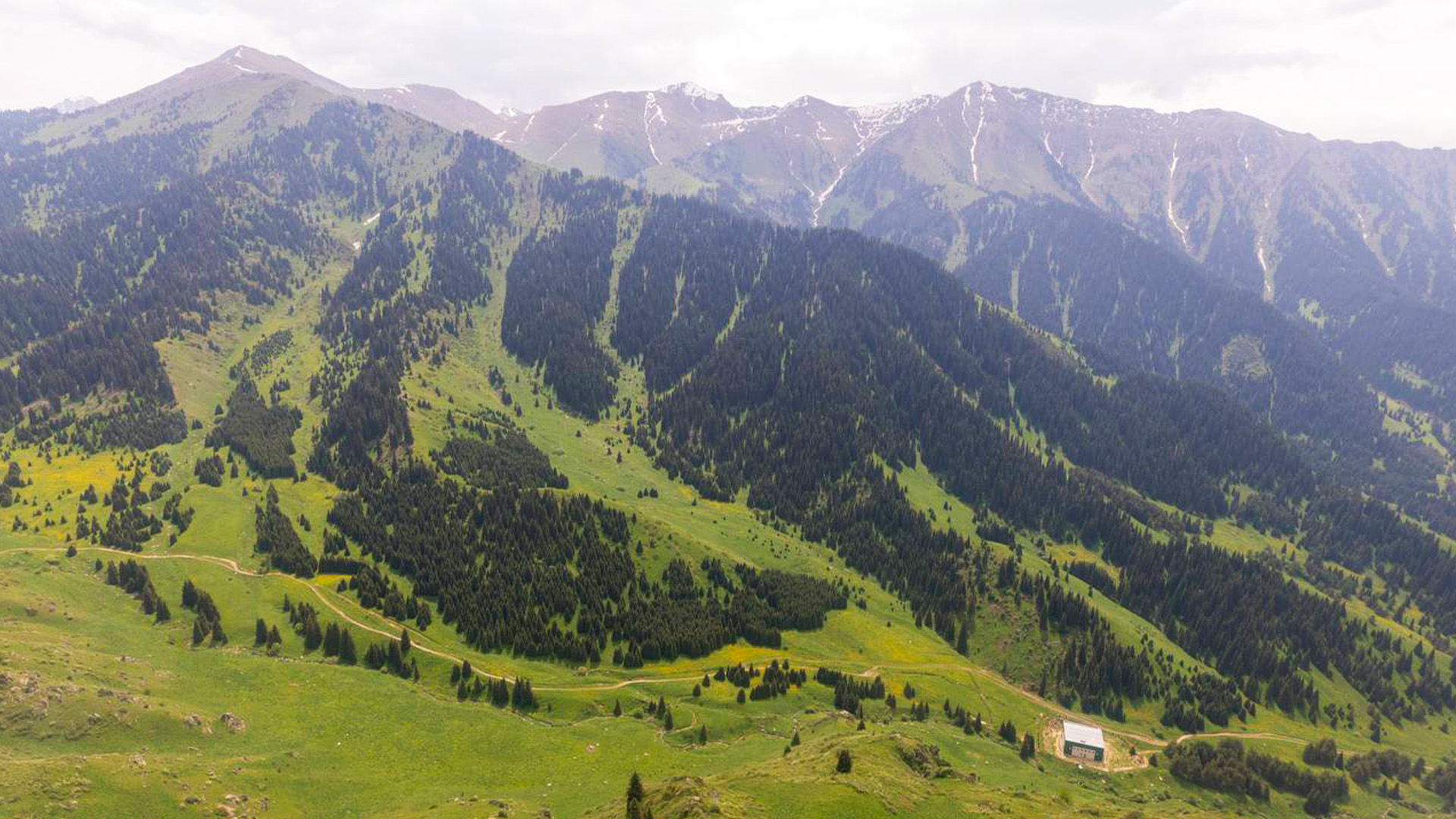Almaty Superski: Көкжайлауда қауіпсіздік қалай қамтамасыз етіледі?